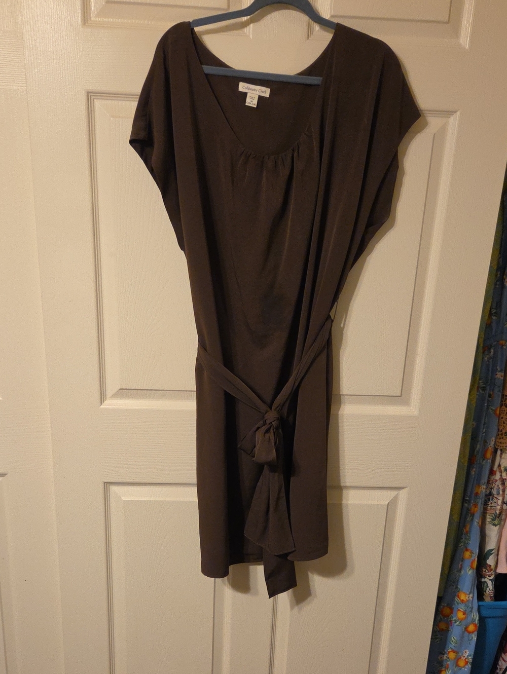 Coldwater Creek Brown Scoop-Neck Tie-Waist Mini Dress